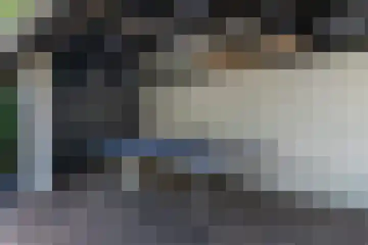 Grinsel 83 A Den Dungen thumbnail 35