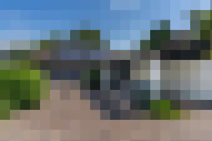 Grinsel 83 A Den Dungen thumbnail 36