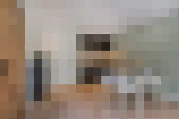 Grinsel 83 A Den Dungen thumbnail 38