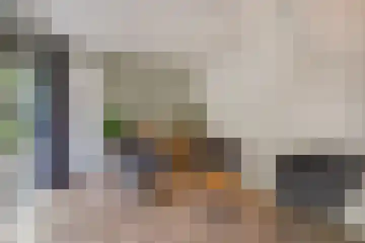 Grinsel 83 A Den Dungen thumbnail 39