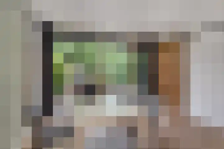 Grinsel 83 A Den Dungen thumbnail 40