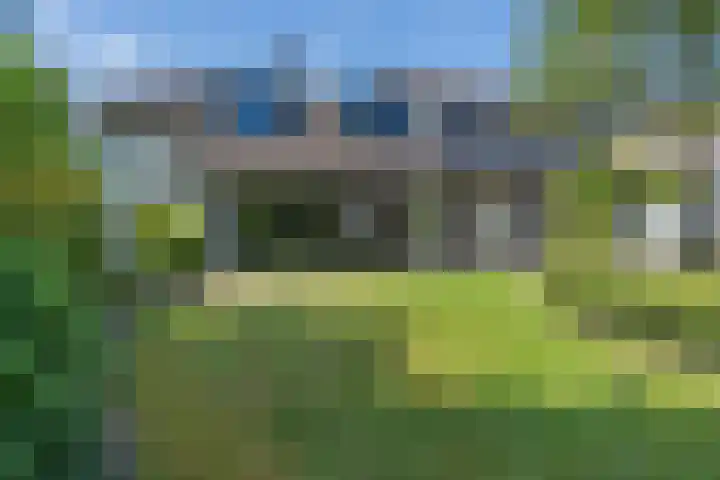 Grinsel 83 A Den Dungen thumbnail 41