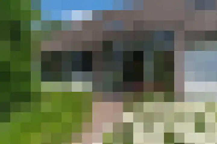 Grinsel 83 A Den Dungen thumbnail 42