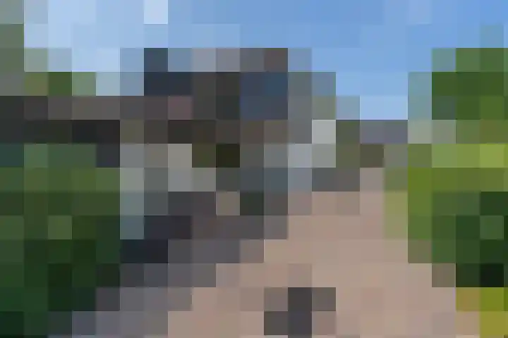 Grinsel 83 A Den Dungen thumbnail 43