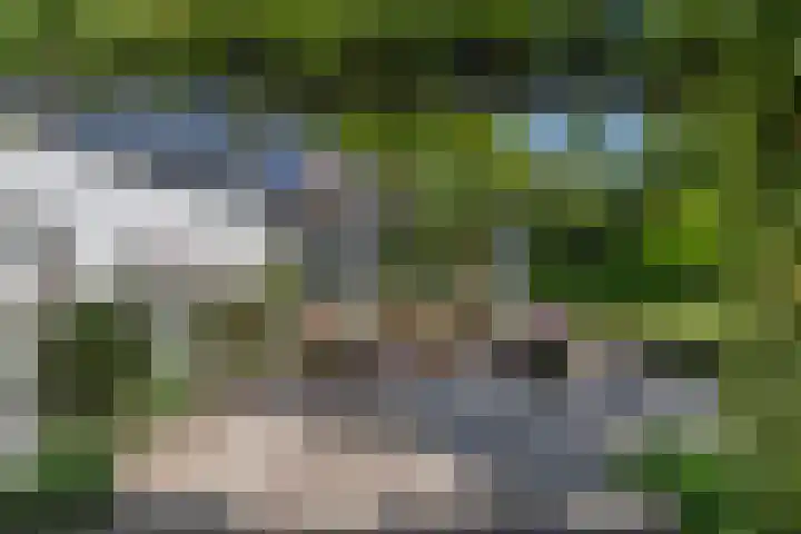 Grinsel 83 A Den Dungen thumbnail 45
