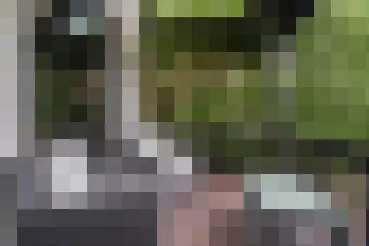 Grinsel 83 A Den Dungen thumbnail 46