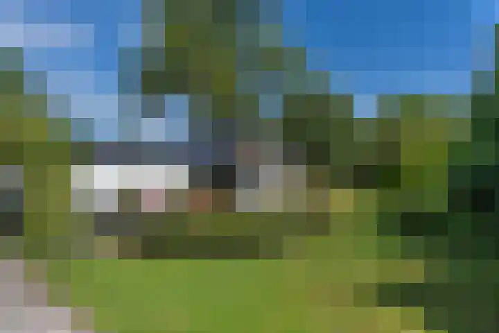 Grinsel 83 A Den Dungen thumbnail 47