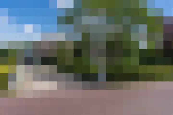 Grinsel 83 A Den Dungen thumbnail 49