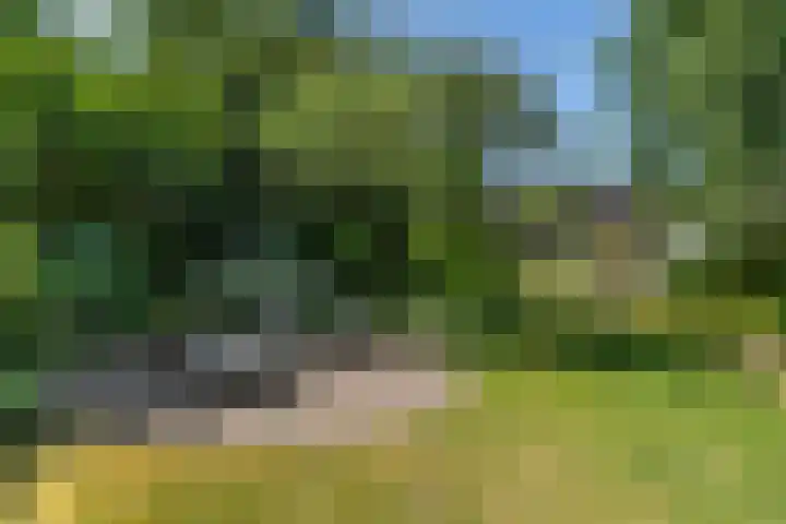 Grinsel 83 A Den Dungen thumbnail 51