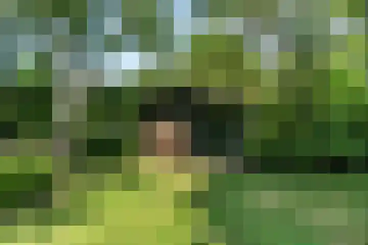 Grinsel 83 A Den Dungen thumbnail 54