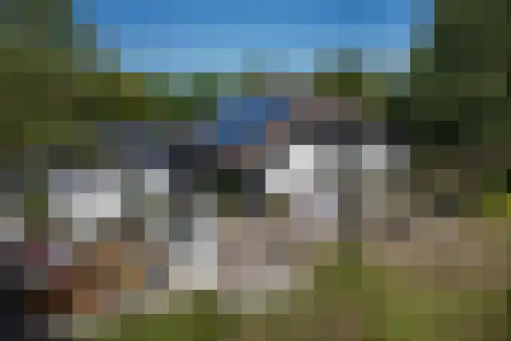 Grinsel 83 A Den Dungen thumbnail 55