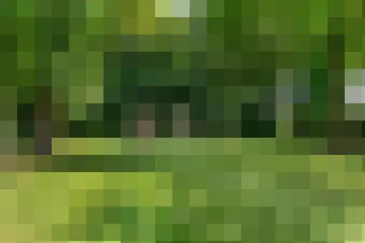Grinsel 83 A Den Dungen thumbnail 56