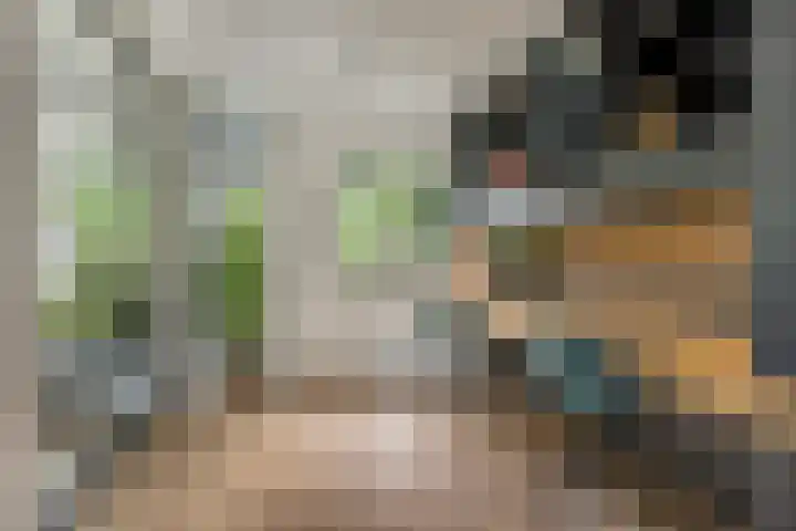 Grinsel 83 A Den Dungen thumbnail 6