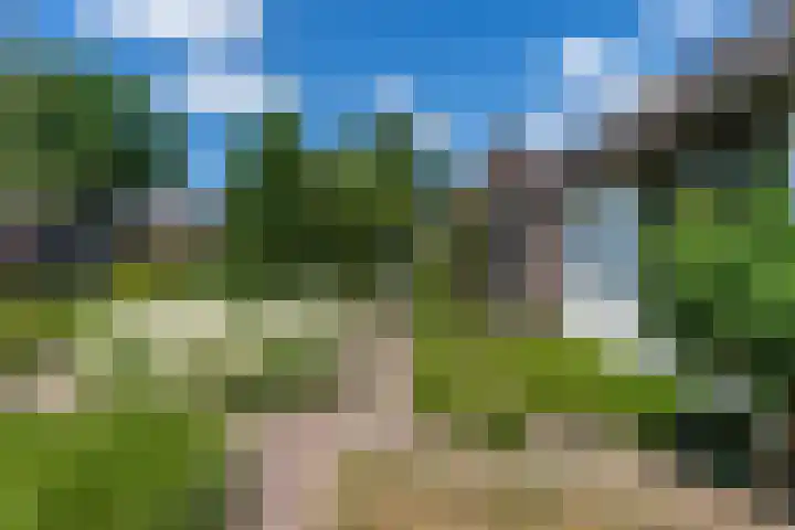 Grinsel 83 A Den Dungen thumbnail 61