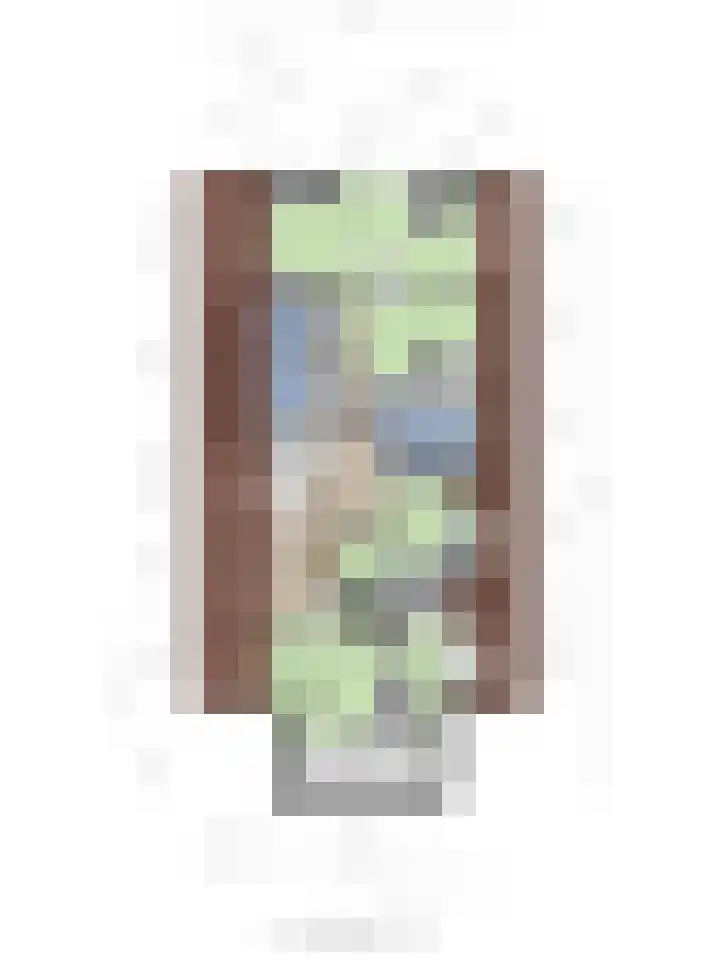Grinsel 83 A Den Dungen thumbnail 65