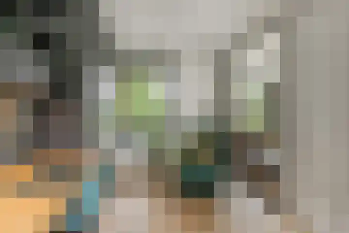 Grinsel 83 A Den Dungen thumbnail 7
