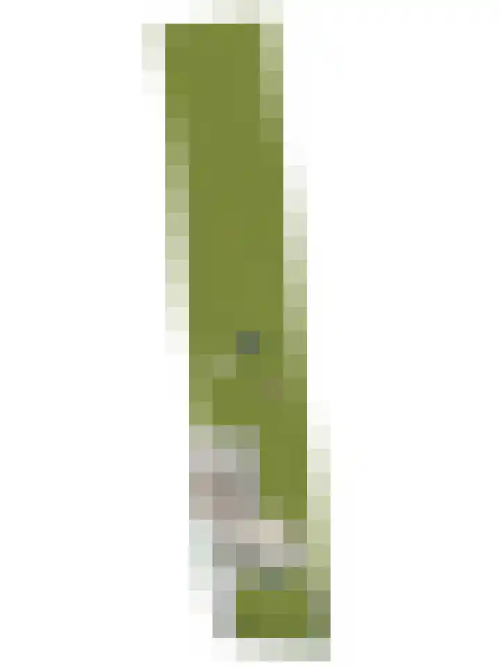 Grinsel 83 A Den Dungen thumbnail 71