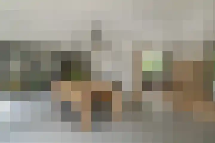 Grinsel 83 A Den Dungen thumbnail 8