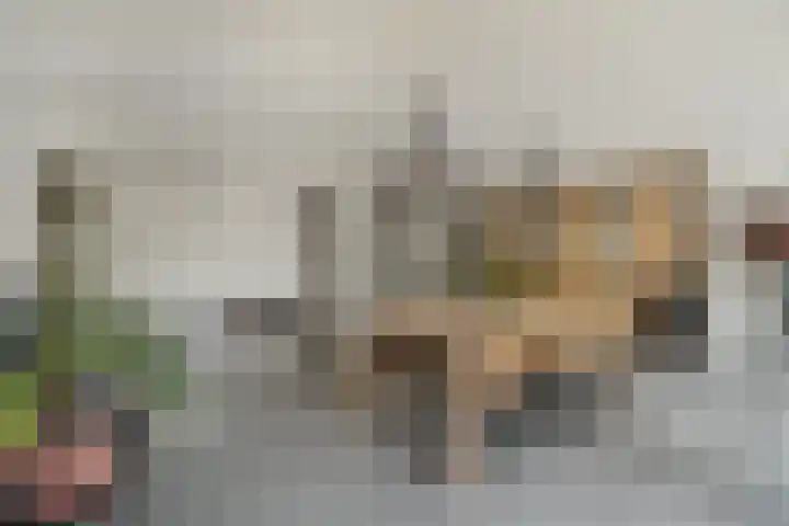 Grinsel 83 A Den Dungen thumbnail 9