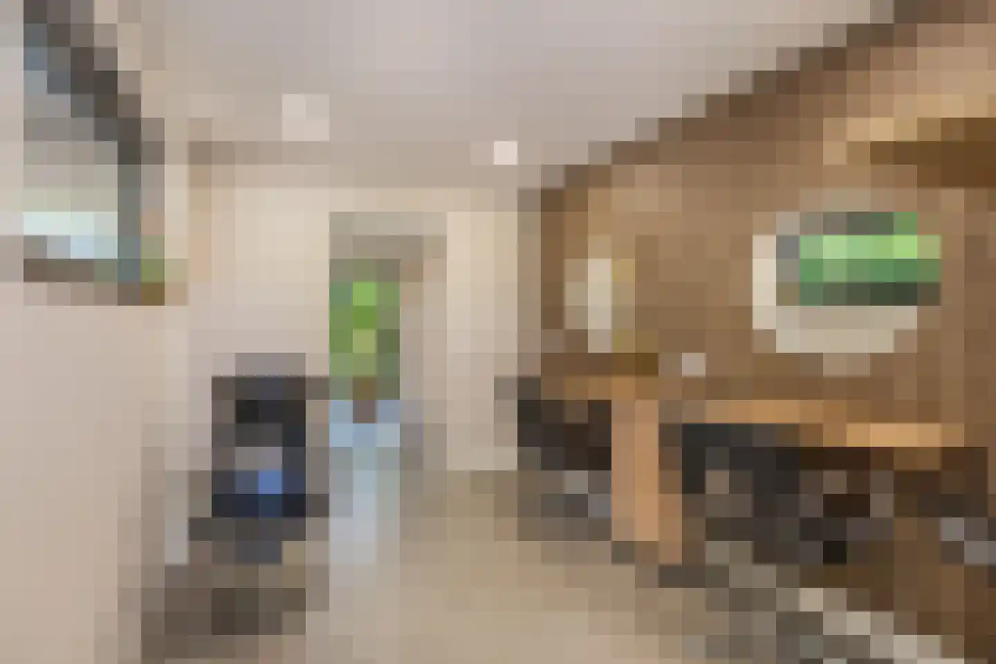 Grinsel 85 A Den Dungen thumbnail 13