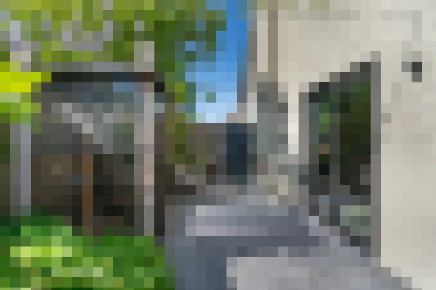 Grinsel 85 A Den Dungen thumbnail 27