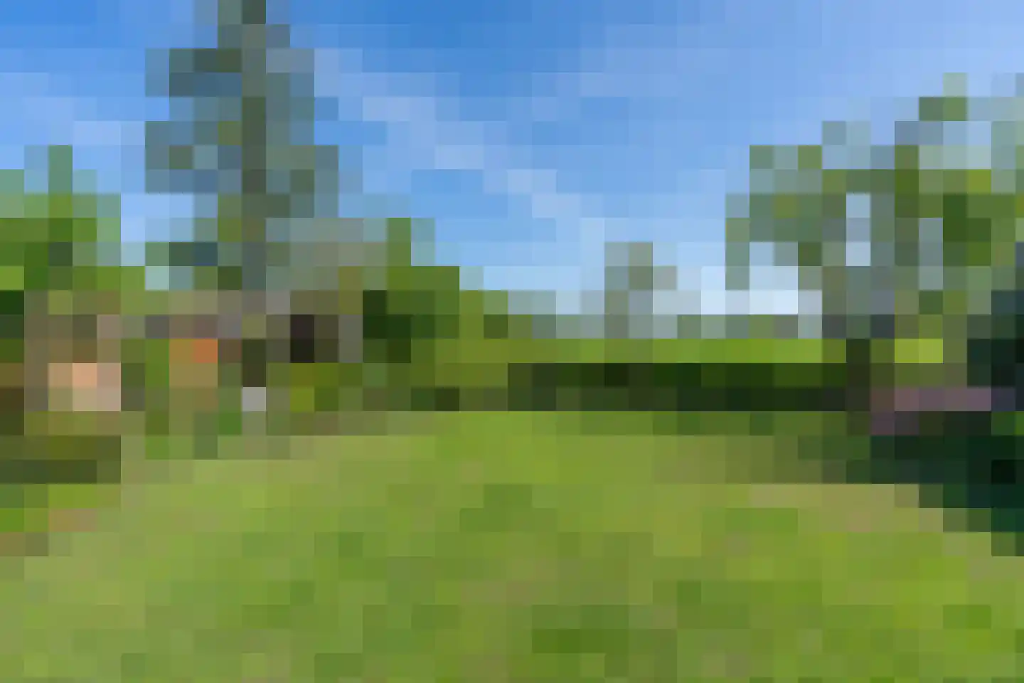 Grinsel 85 A Den Dungen thumbnail 28