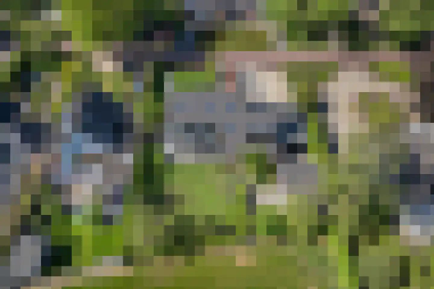 Grinsel 85 A Den Dungen thumbnail 34