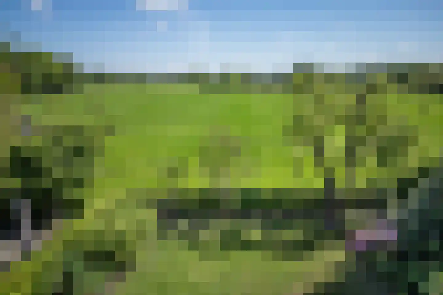 Grinsel 85 A Den Dungen thumbnail 36