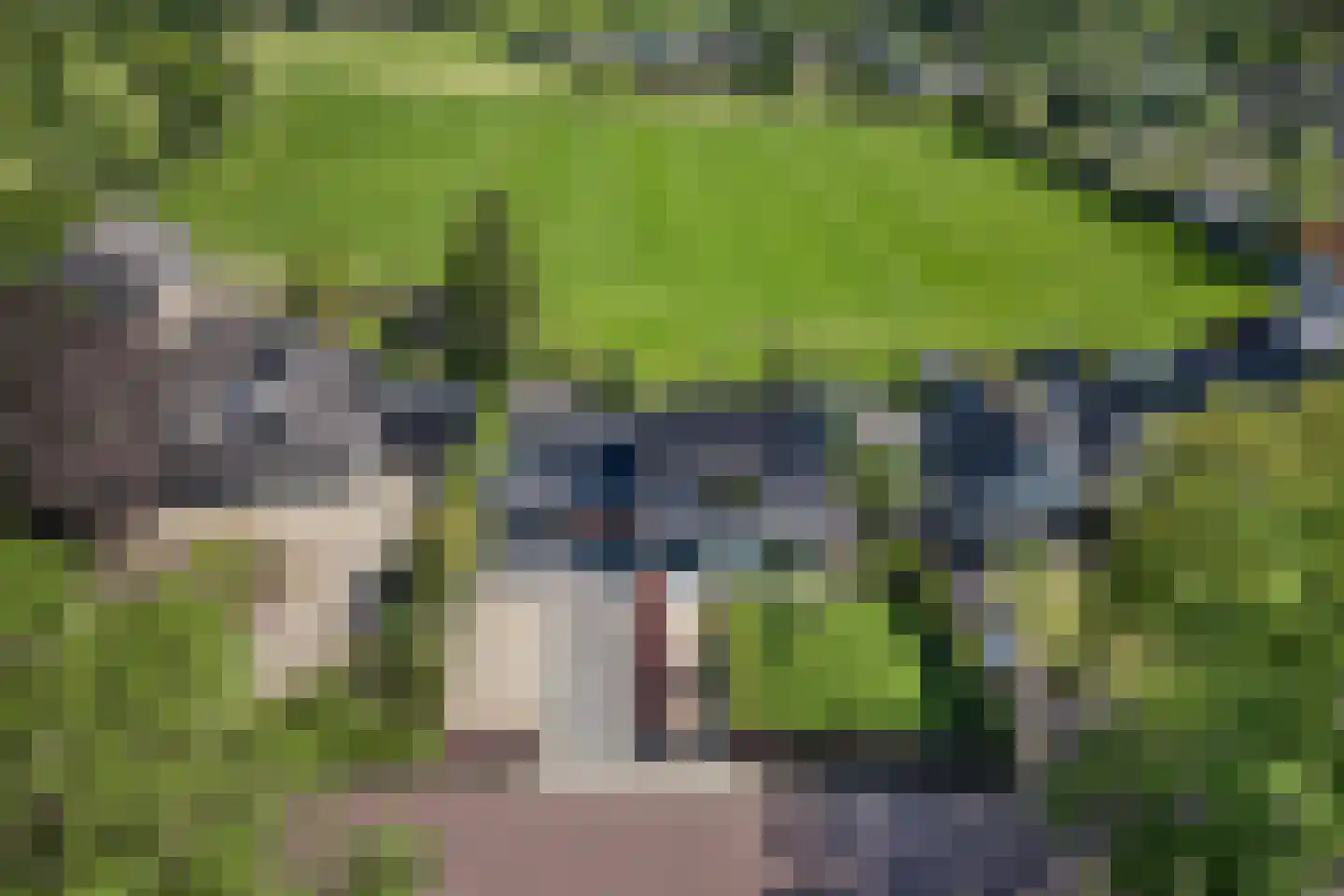 Grinsel 85 A Den Dungen thumbnail 38