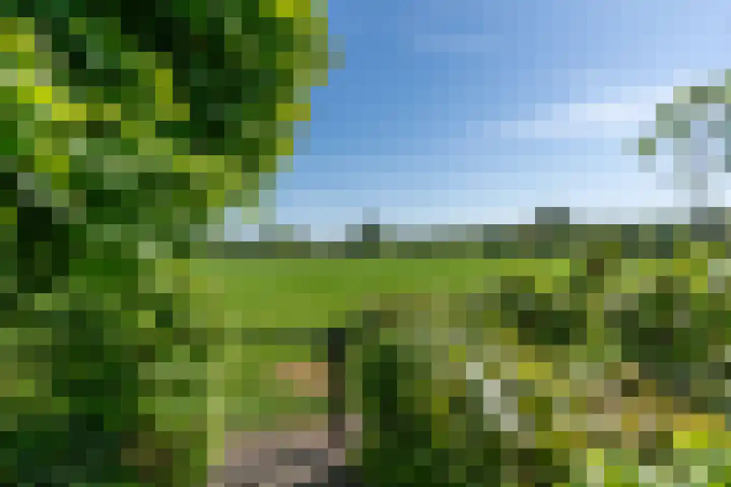 Grinsel 85 A Den Dungen thumbnail 4