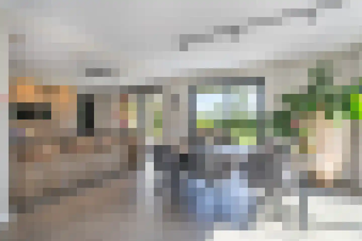 Grinsel 85 A Den Dungen thumbnail 7