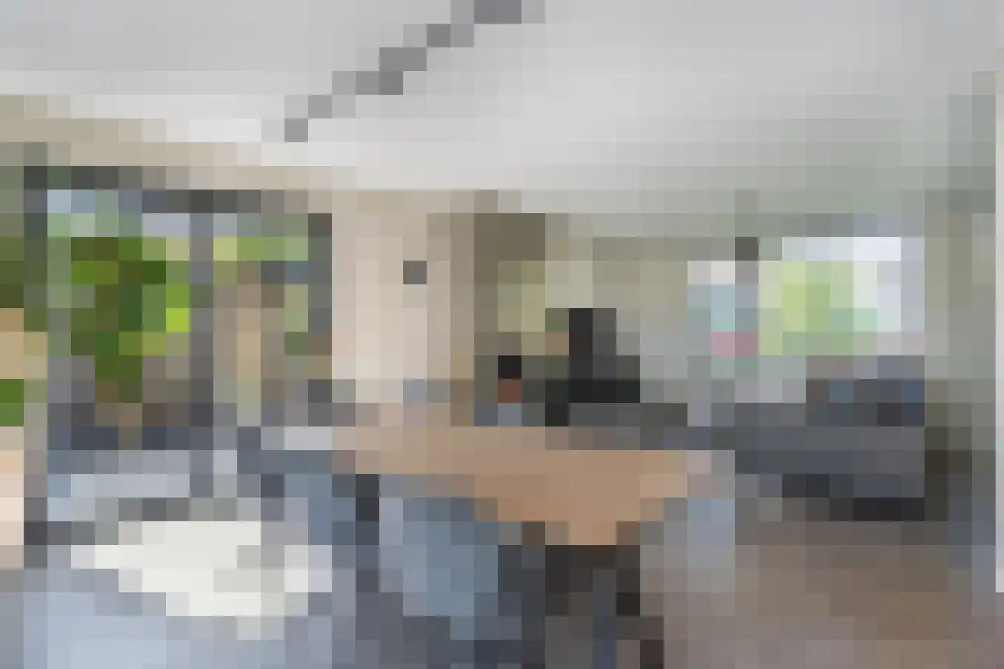 Grinsel 85 A Den Dungen thumbnail 8