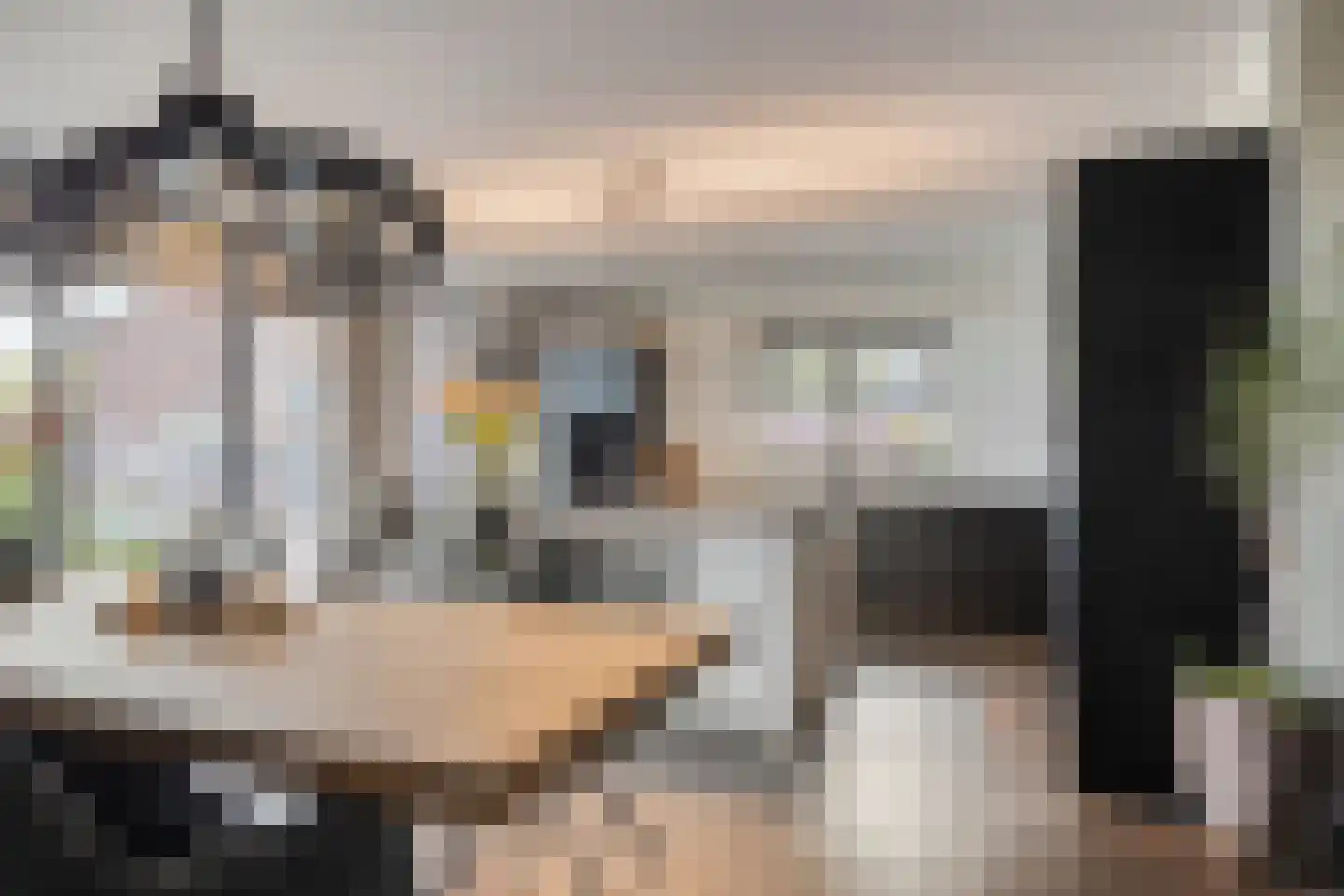 Grinsel 87 A Den Dungen thumbnail 23