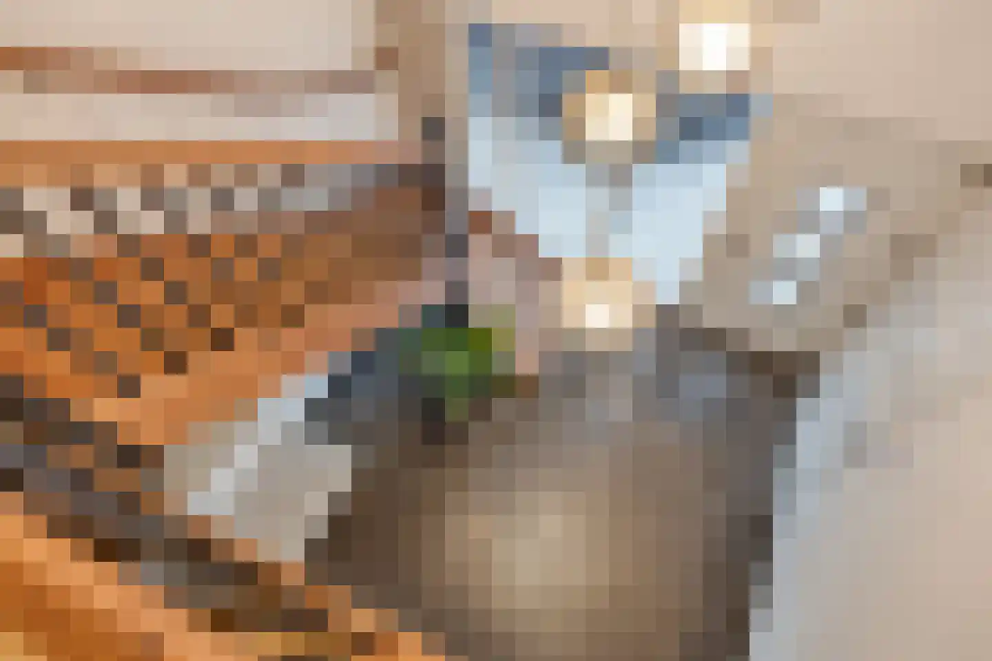 Grinsel 87 A Den Dungen thumbnail 35