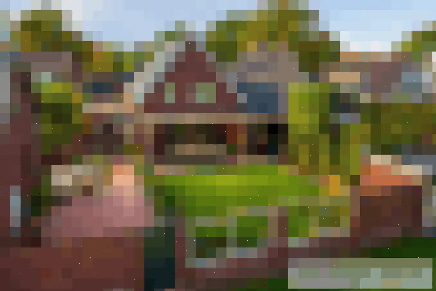 Grinsel 87 A Den Dungen thumbnail 4