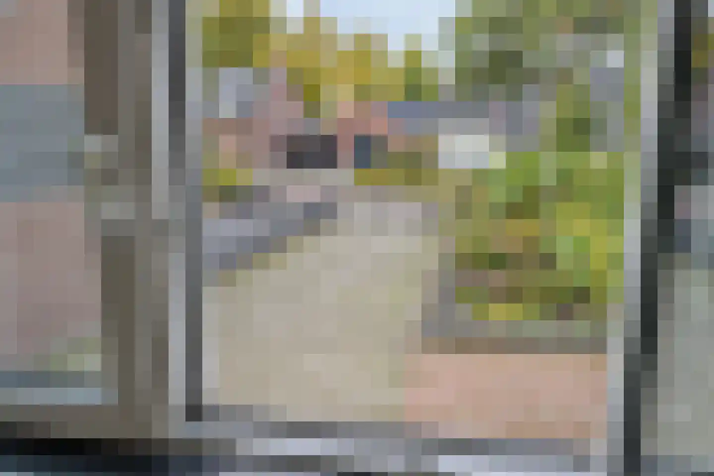 Grinsel 87 A Den Dungen thumbnail 47