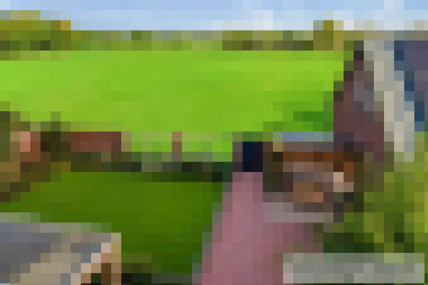 Grinsel 87 A Den Dungen thumbnail 5