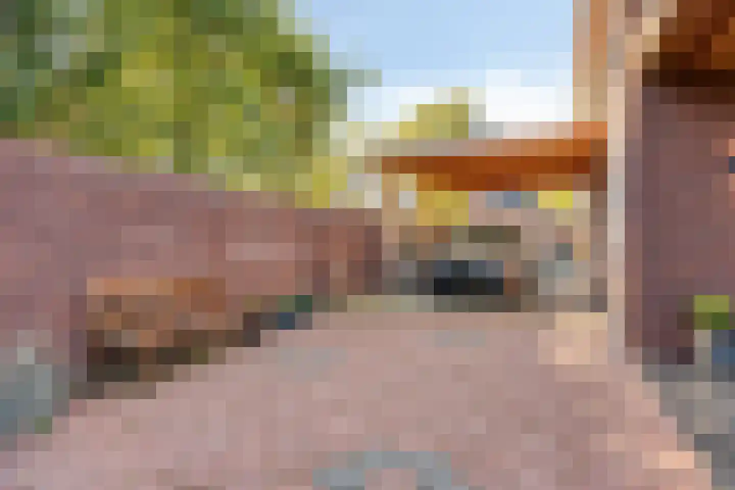 Grinsel 87 A Den Dungen thumbnail 57