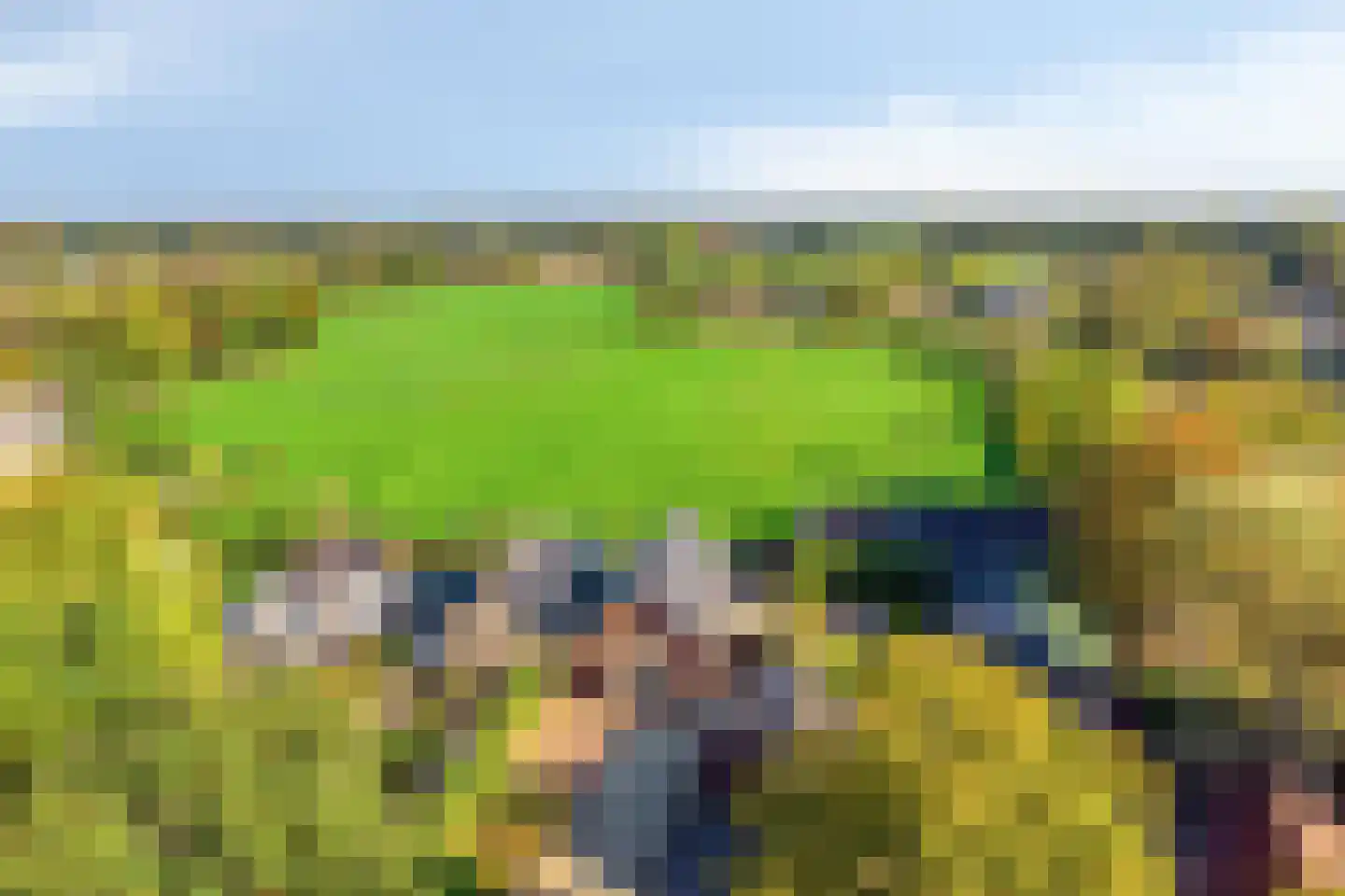 Grinsel 87 A Den Dungen thumbnail 6