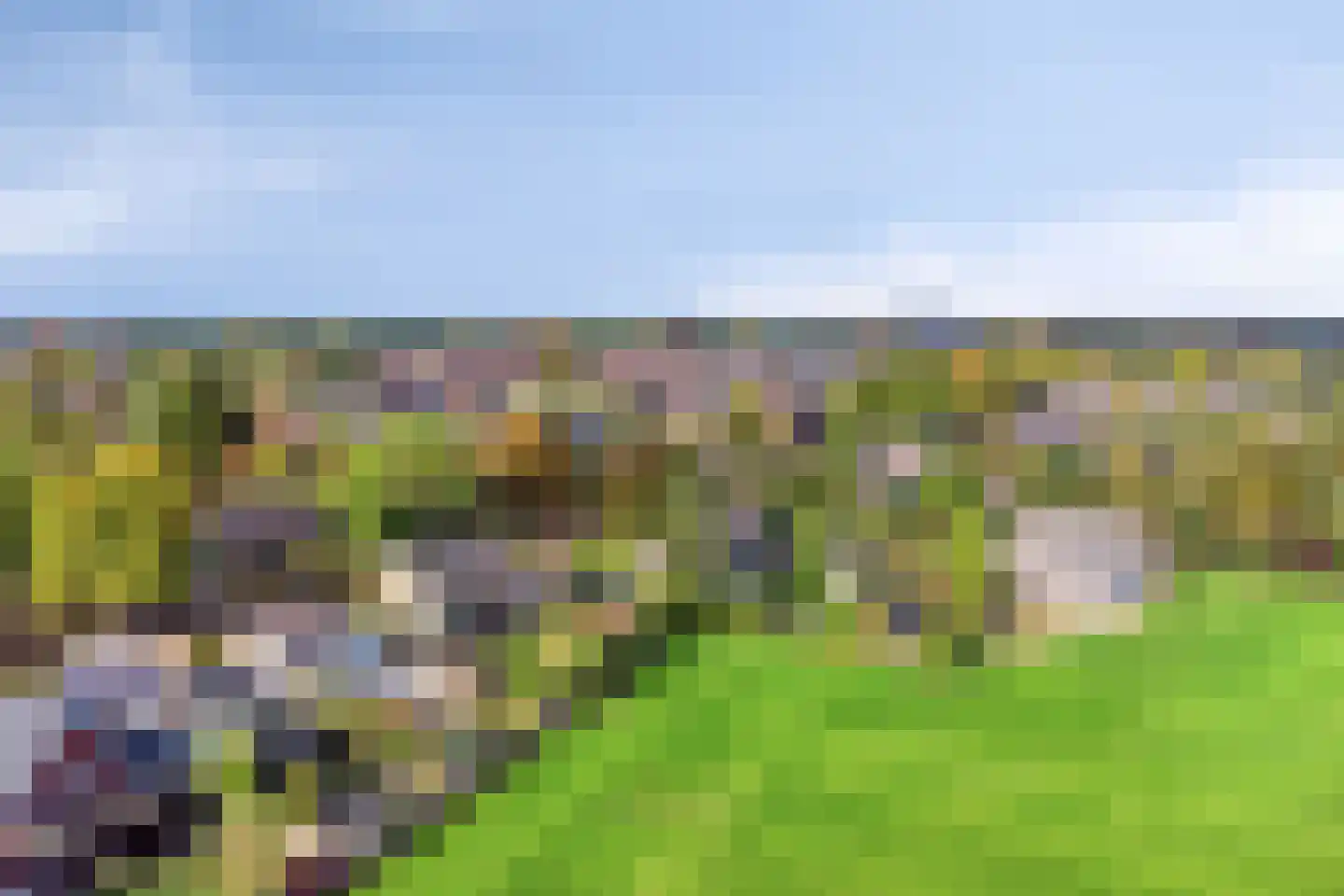 Grinsel 87 A Den Dungen thumbnail 70
