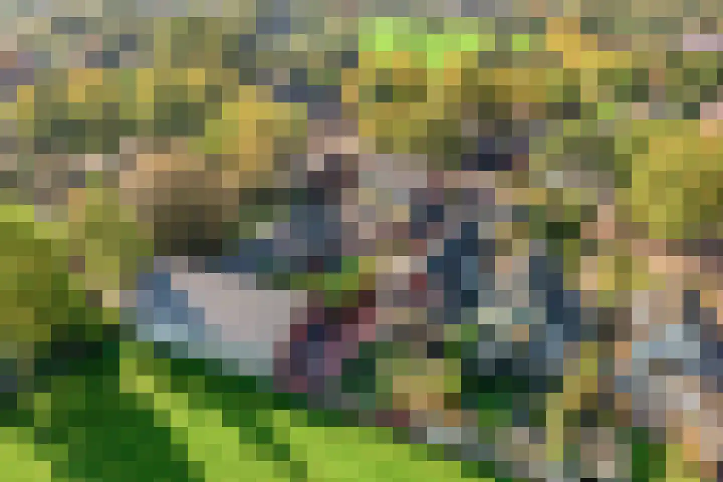 Grinsel 87 A Den Dungen thumbnail 71