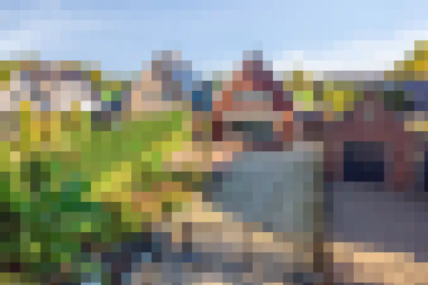 Grinsel 87 A Den Dungen thumbnail 73