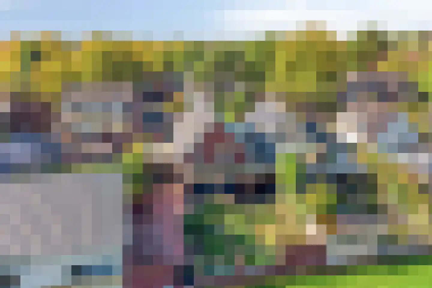 Grinsel 87 A Den Dungen thumbnail 75