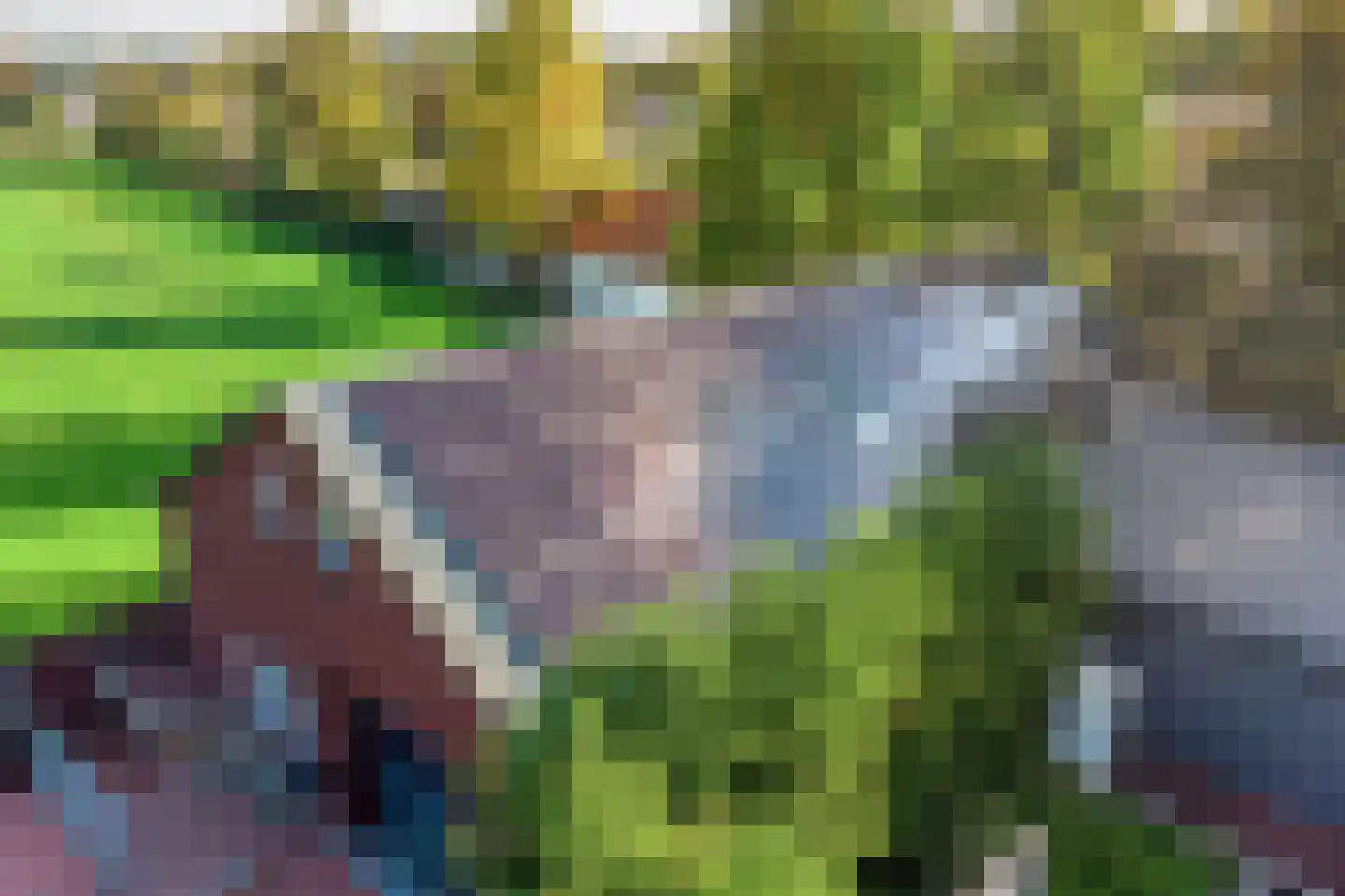 Grinsel 87 A Den Dungen thumbnail 77
