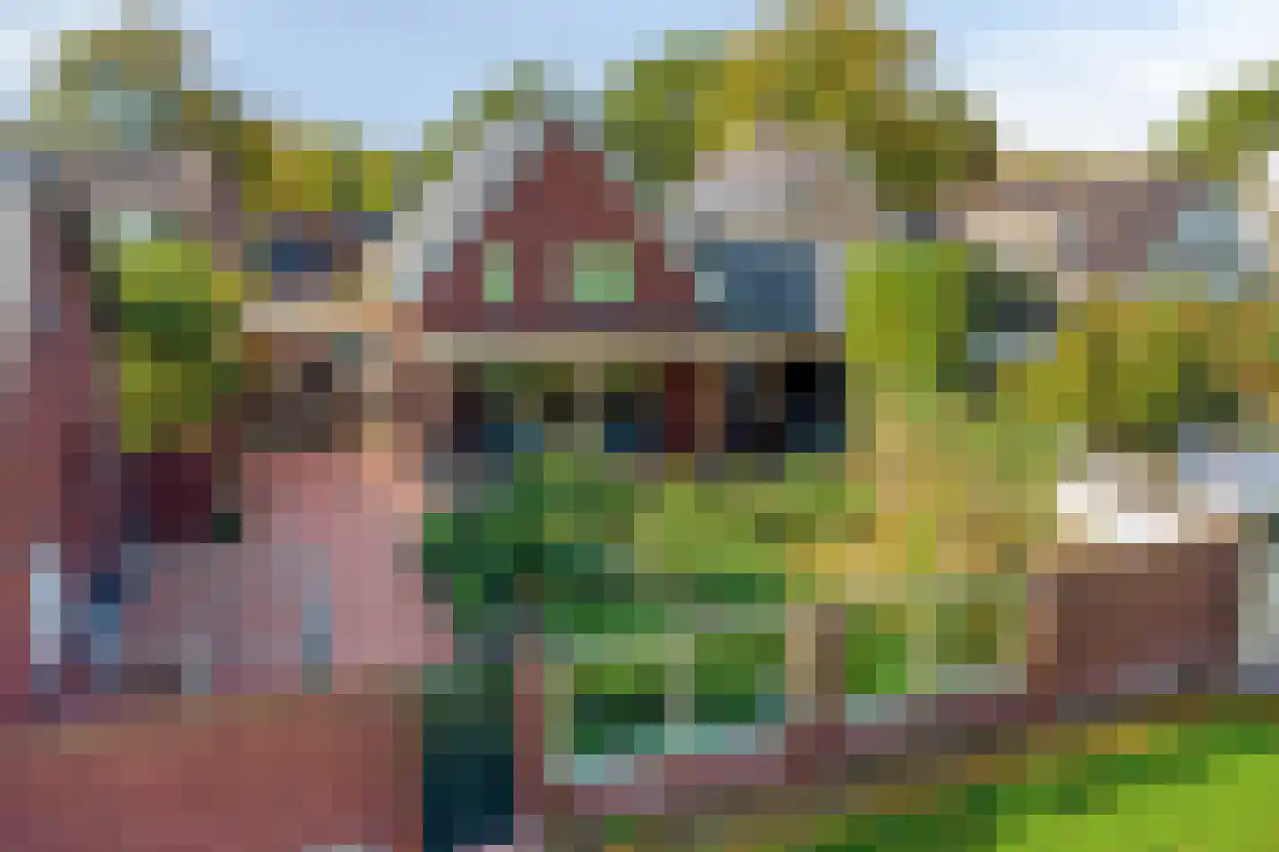 Grinsel 87 A Den Dungen thumbnail 78