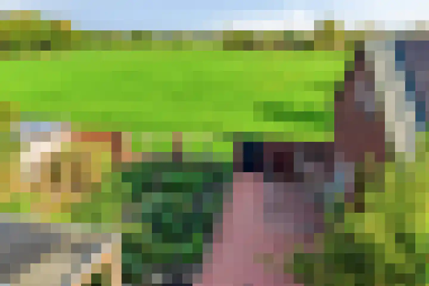 Grinsel 87 A Den Dungen thumbnail 79
