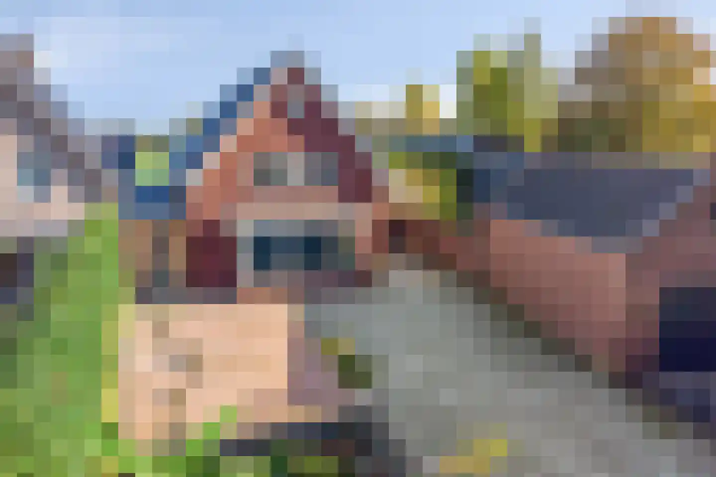 Grinsel 87 A Den Dungen thumbnail 8