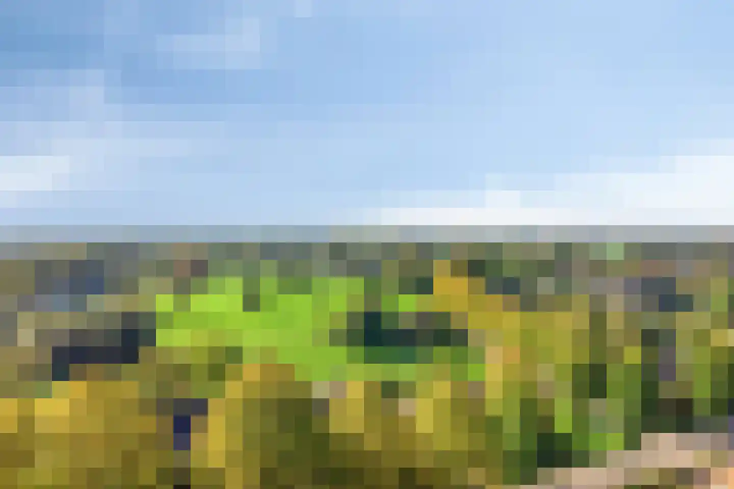 Grinsel 87 A Den Dungen thumbnail 80