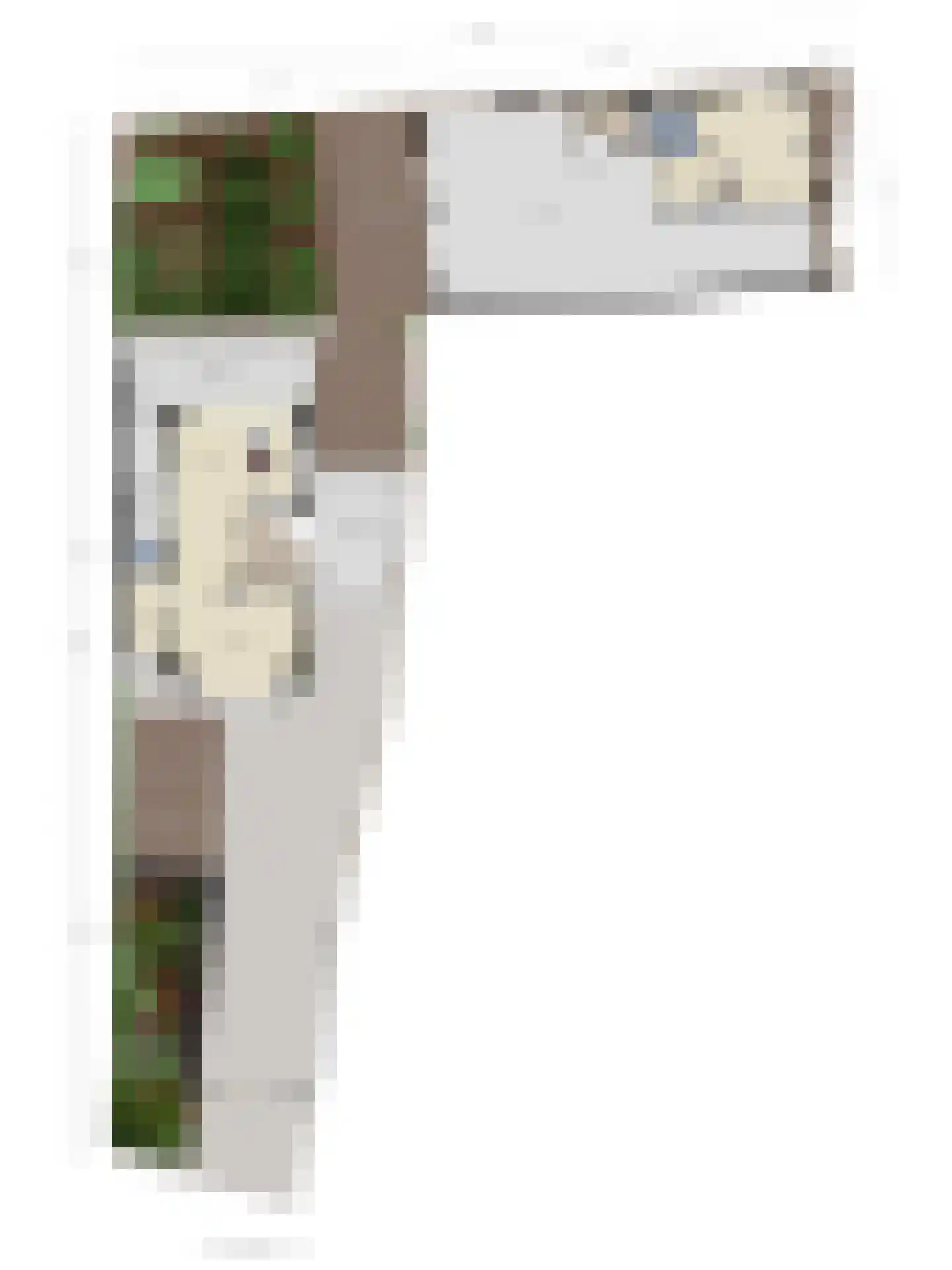 Grinsel 87 A Den Dungen thumbnail 82