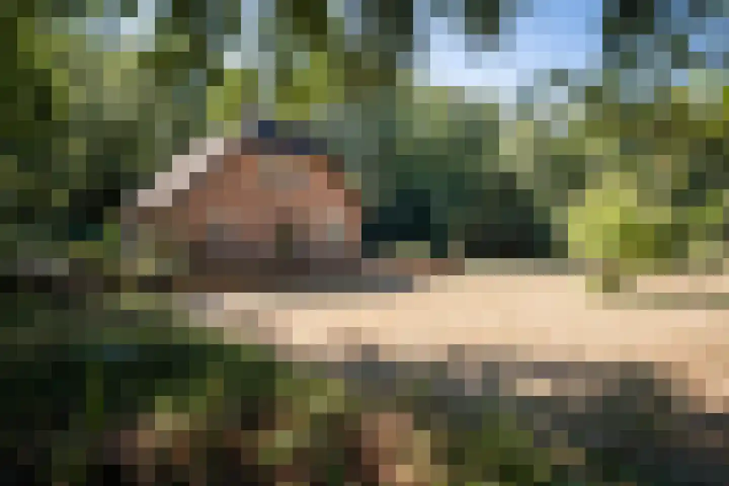 Grintgroeveweg 1 Epe